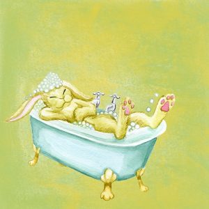 ウサギの入浴
