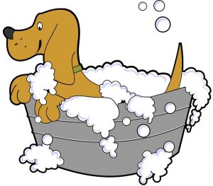 犬のお風呂