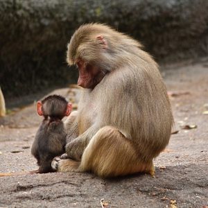 親子温かい