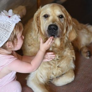 赤ちゃんと犬